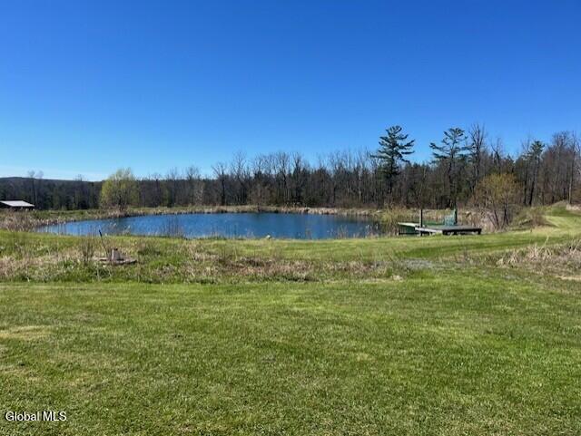 465 Snyder Road Cobleskill NY 12043