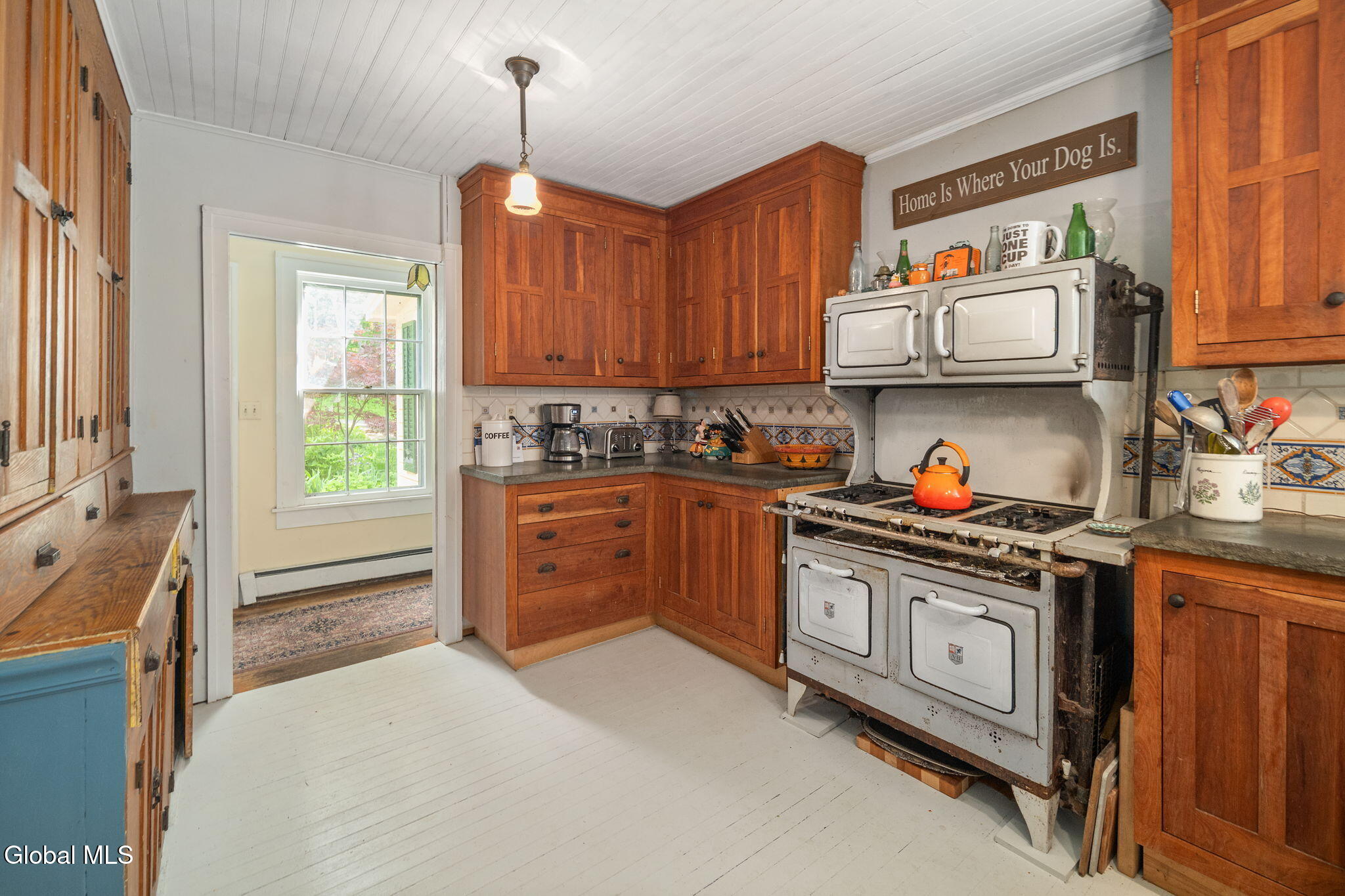 171 Pavillion Avenue Sharon Springs NY 13459