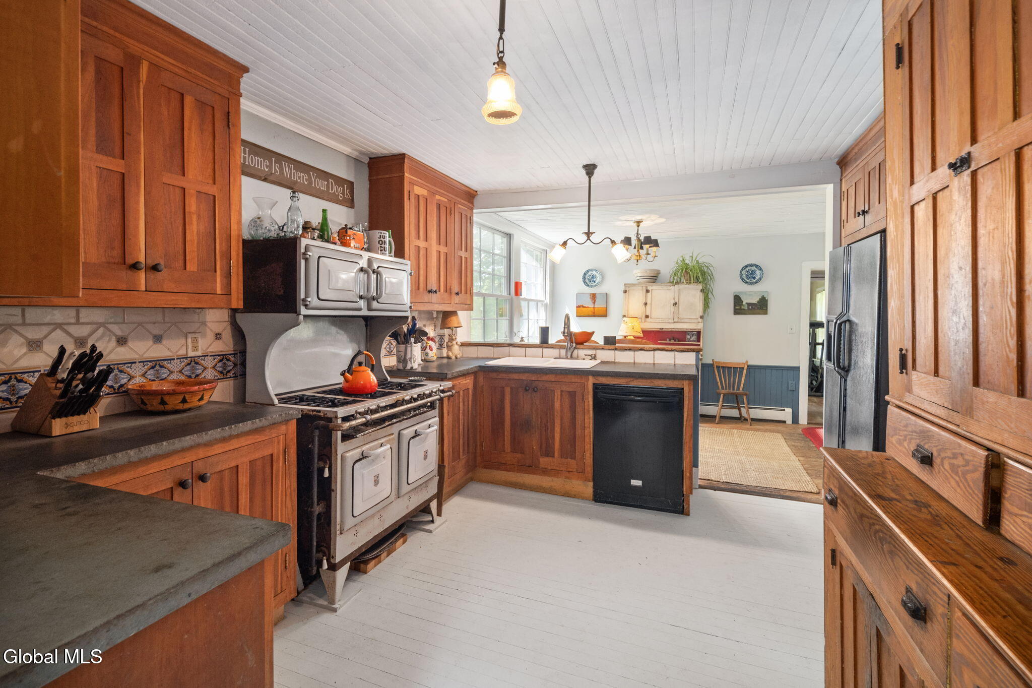 171 Pavillion Avenue Sharon Springs NY 13459