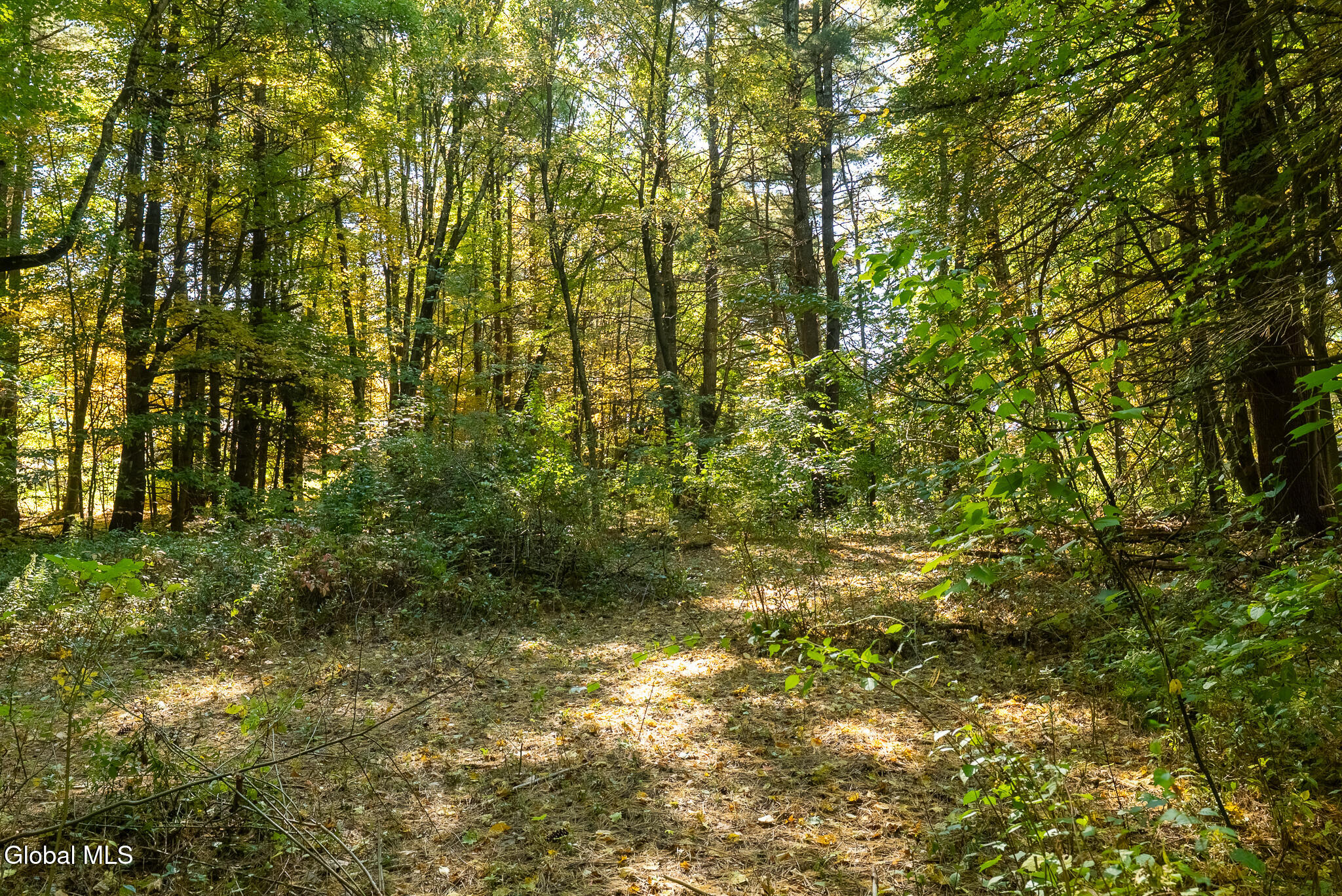 82 Log Woods Road Troy NY 12180