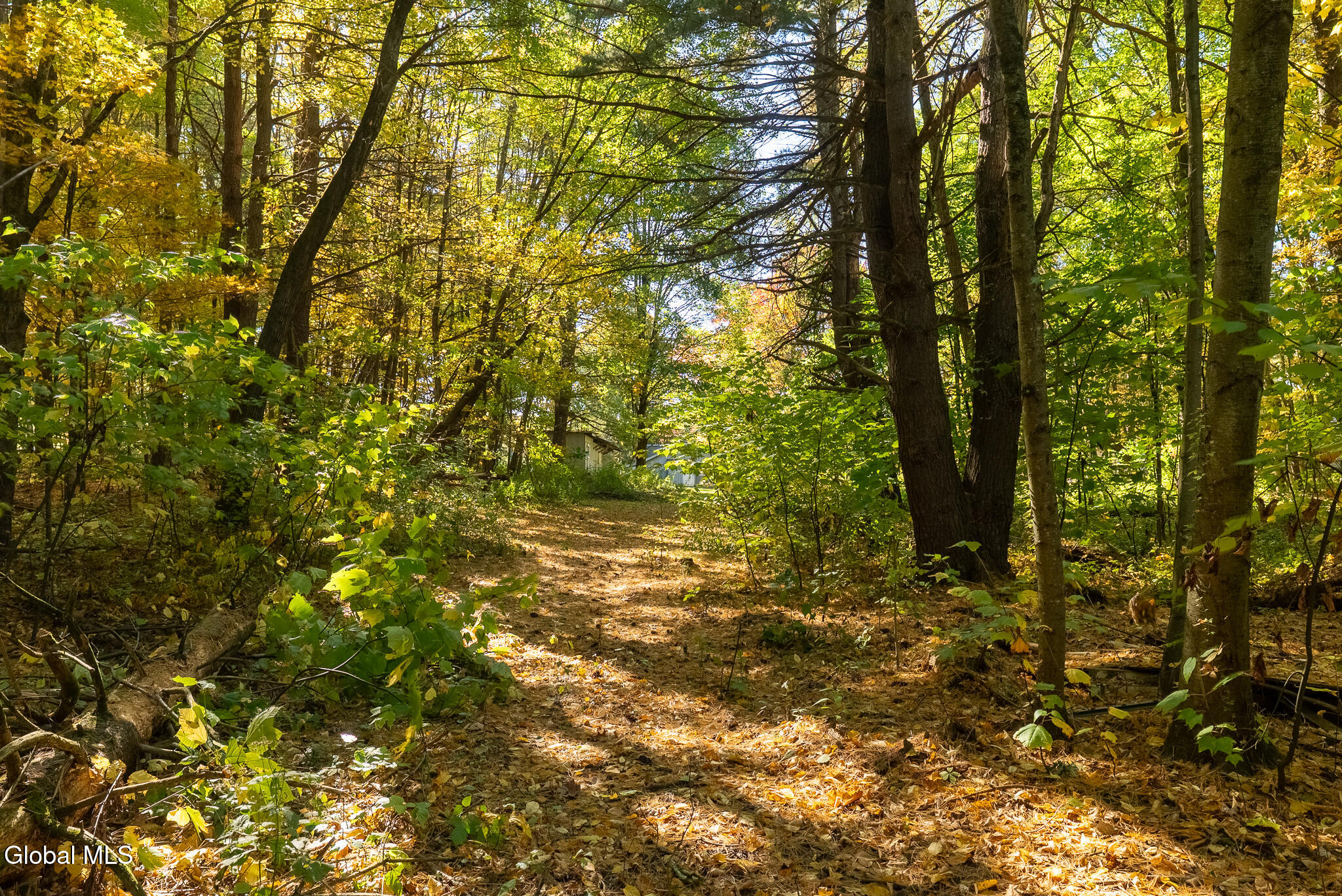 82 Log Woods Road Troy NY 12180