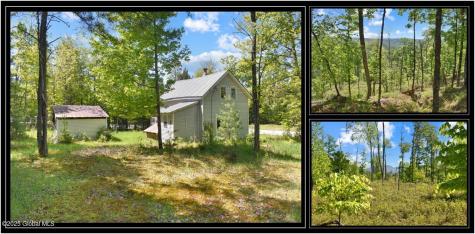 364 Pease Hill Road Brant Lake NY 12815