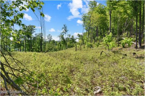 364 Pease Hill Road Brant Lake NY 12815