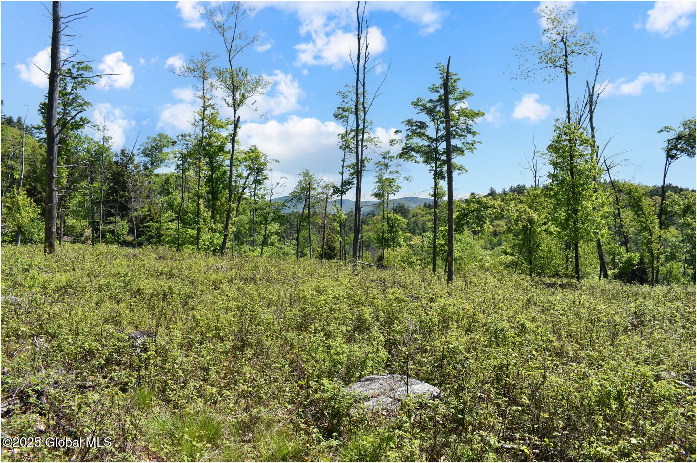 364 Pease Hill Road Brant Lake NY 12815