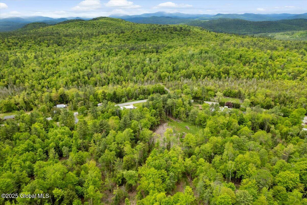 364 Pease Hill Road Brant Lake NY 12815