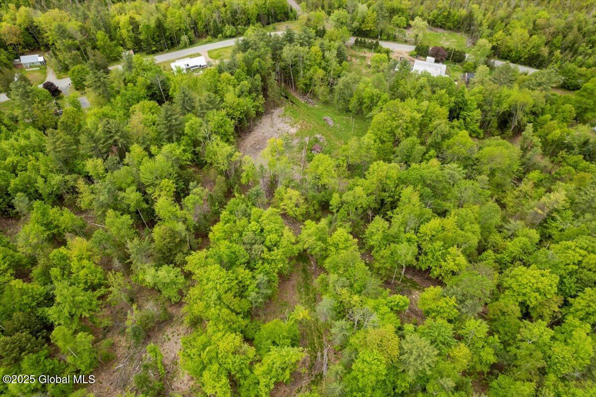 364 Pease Hill Road Brant Lake NY 12815