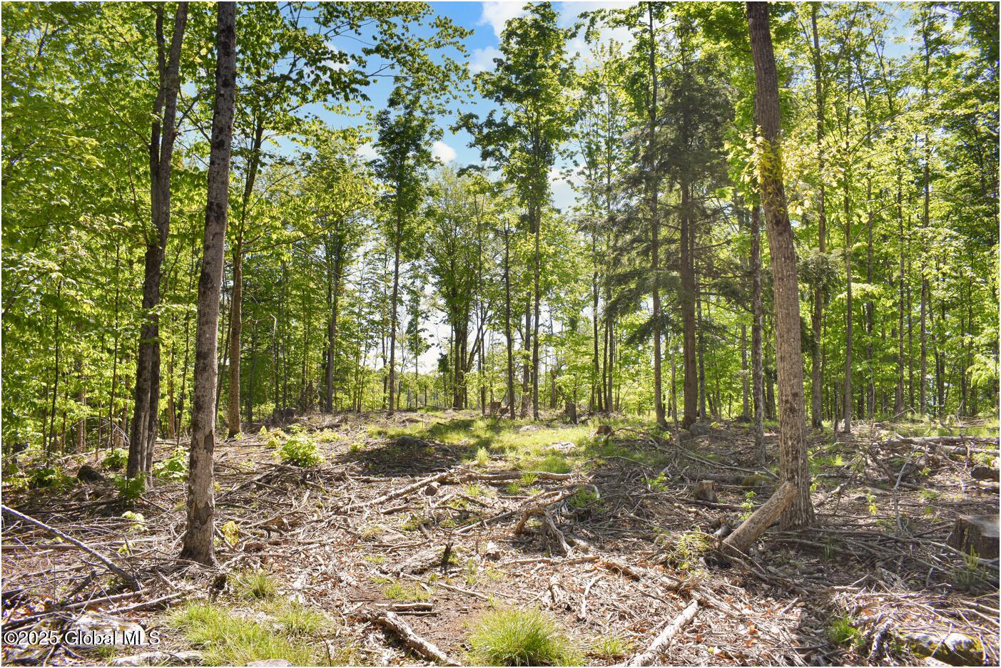 364 Pease Hill Road Brant Lake NY 12815