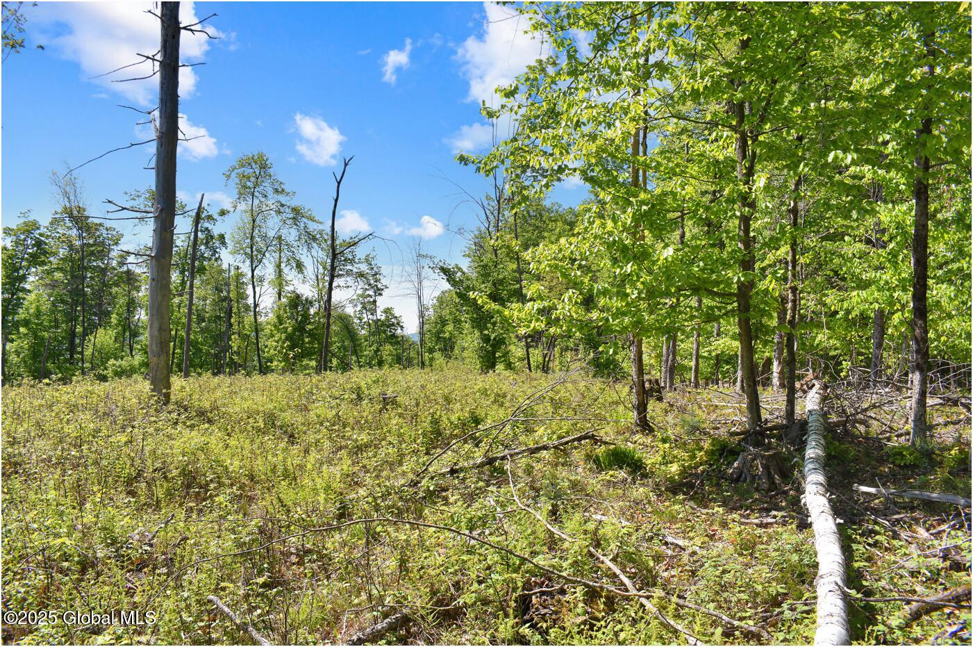 364 Pease Hill Road Brant Lake NY 12815