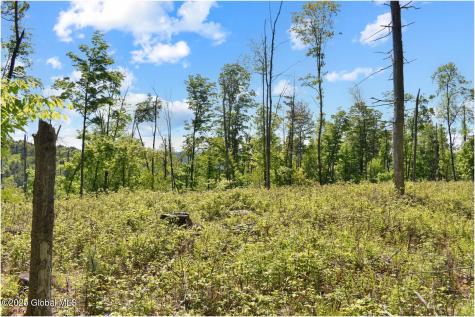 364 Pease Hill Road Brant Lake NY 12815