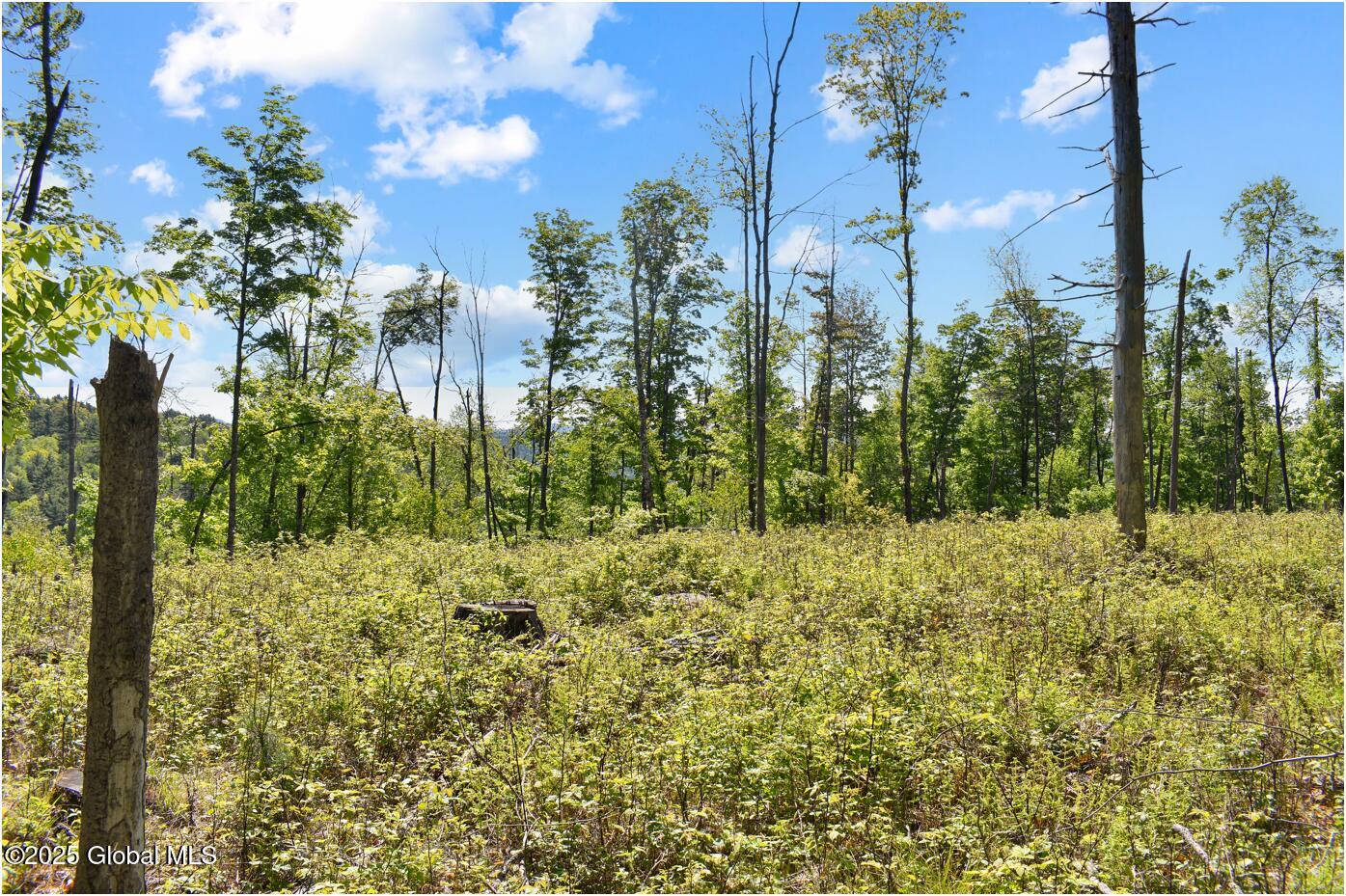 364 Pease Hill Road Brant Lake NY 12815