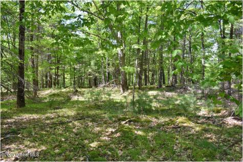 364 Pease Hill Road Brant Lake NY 12815