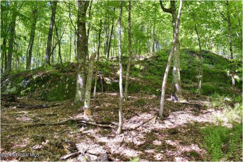 364 Pease Hill Road Brant Lake NY 12815