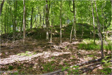 364 Pease Hill Road Brant Lake NY 12815