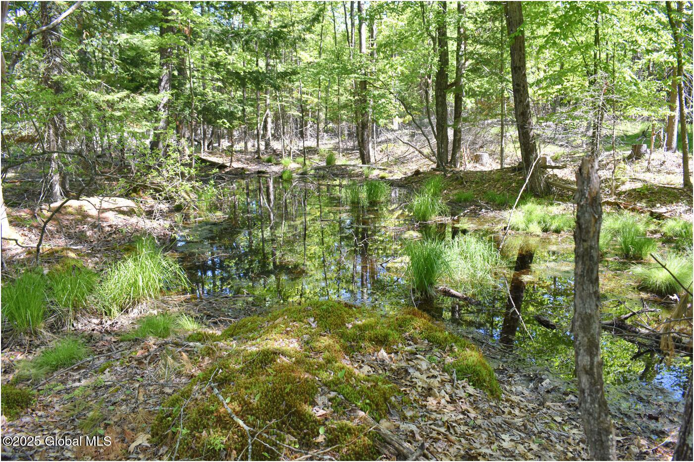 364 Pease Hill Road Brant Lake NY 12815