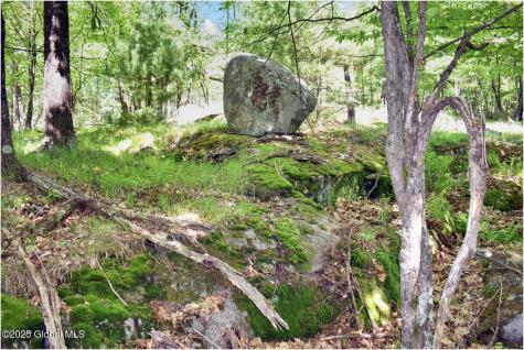 364 Pease Hill Road Brant Lake NY 12815