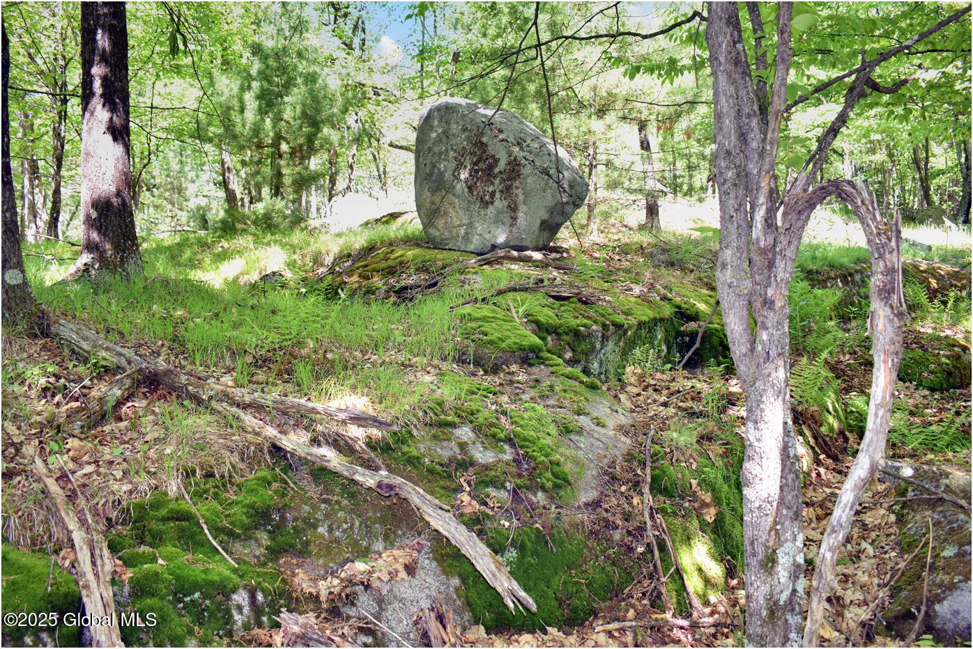 364 Pease Hill Road Brant Lake NY 12815