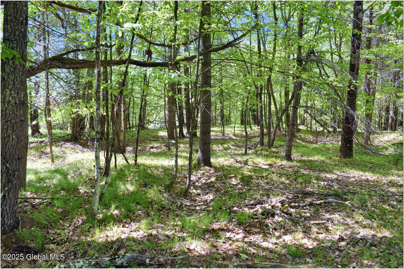 364 Pease Hill Road Brant Lake NY 12815