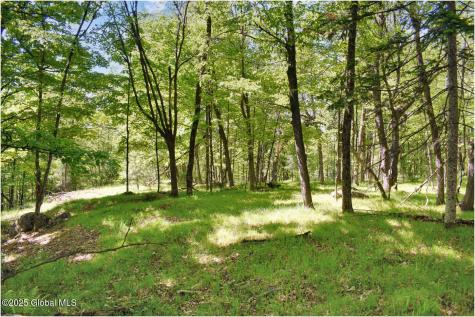 364 Pease Hill Road Brant Lake NY 12815