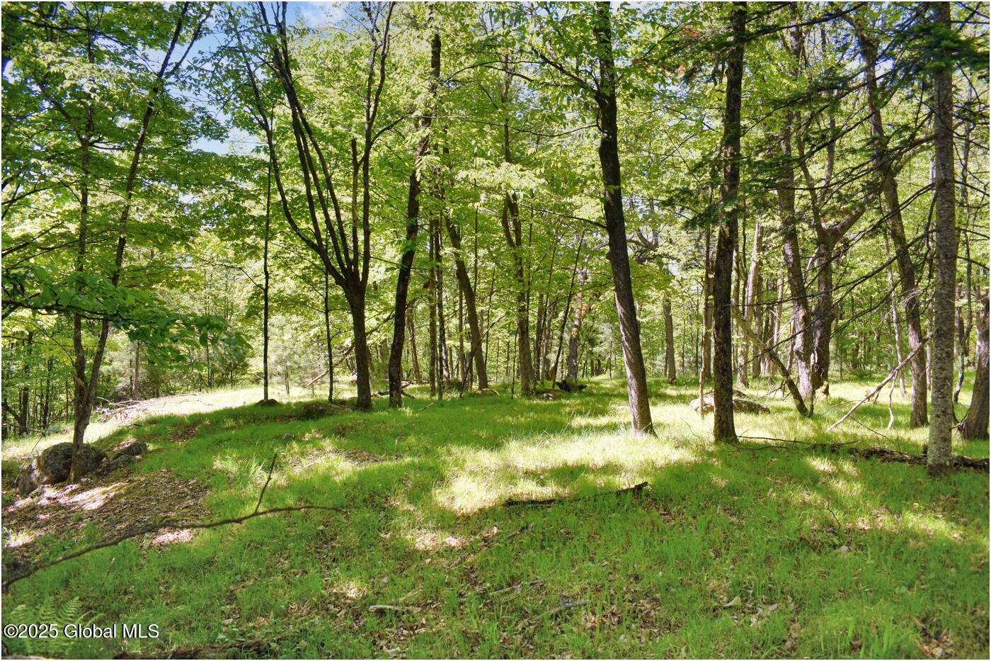 364 Pease Hill Road Brant Lake NY 12815