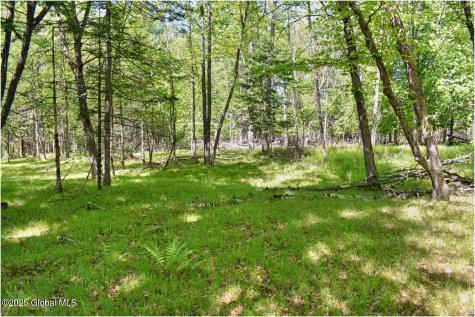 364 Pease Hill Road Brant Lake NY 12815