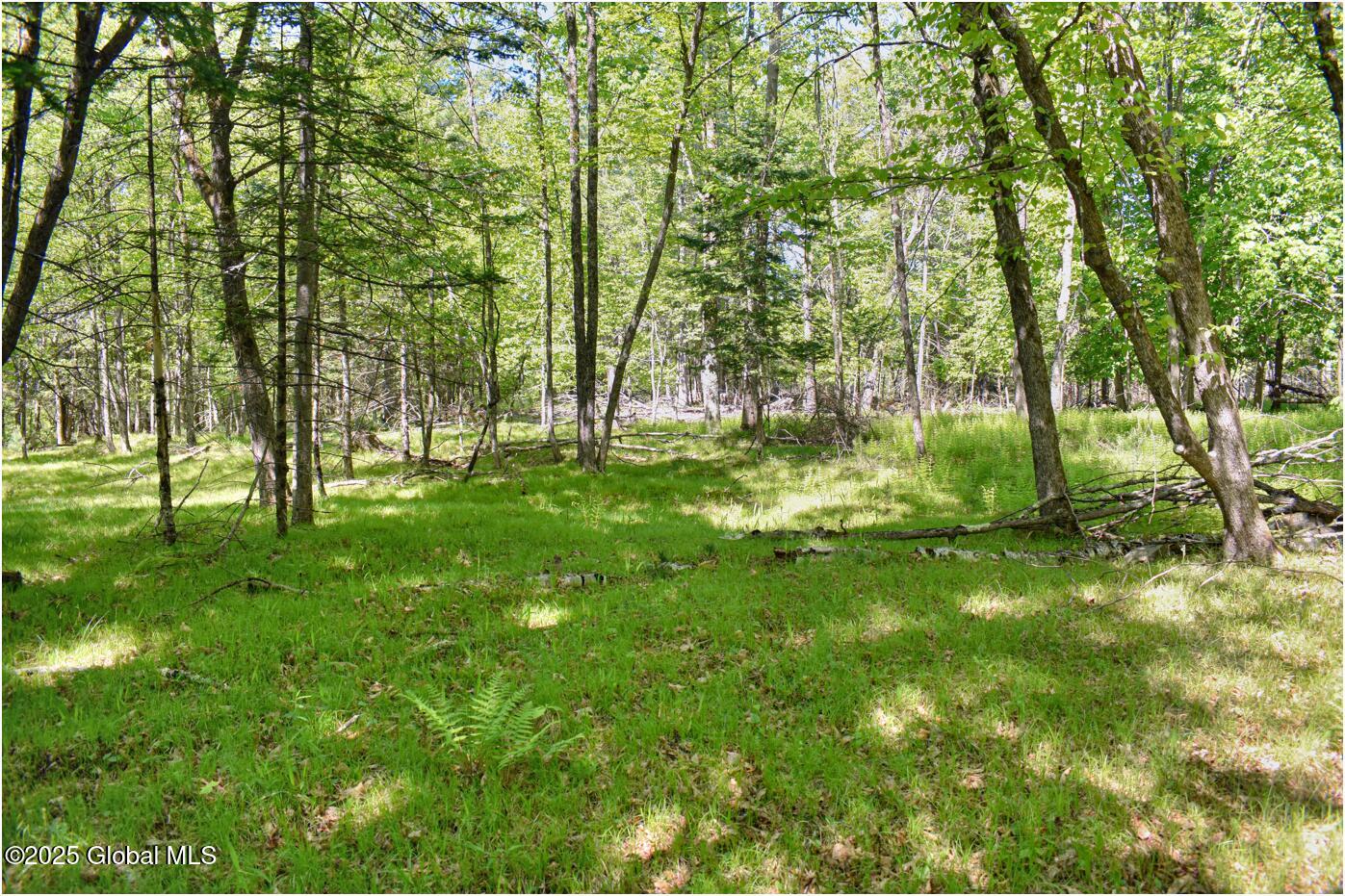 364 Pease Hill Road Brant Lake NY 12815