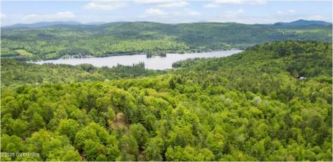364 Pease Hill Road Brant Lake NY 12815