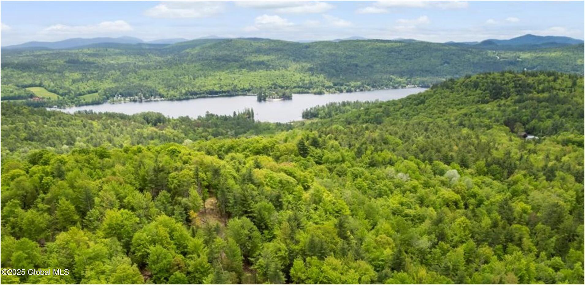 364 Pease Hill Road Brant Lake NY 12815