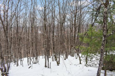 364 Pease Hill Road Brant Lake NY 12815