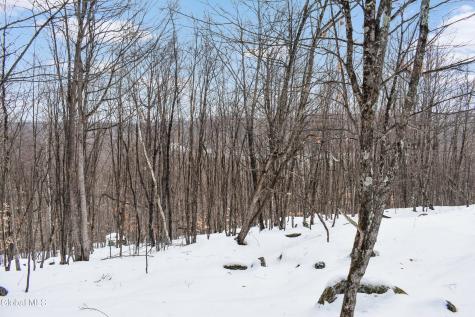 364 Pease Hill Road Brant Lake NY 12815