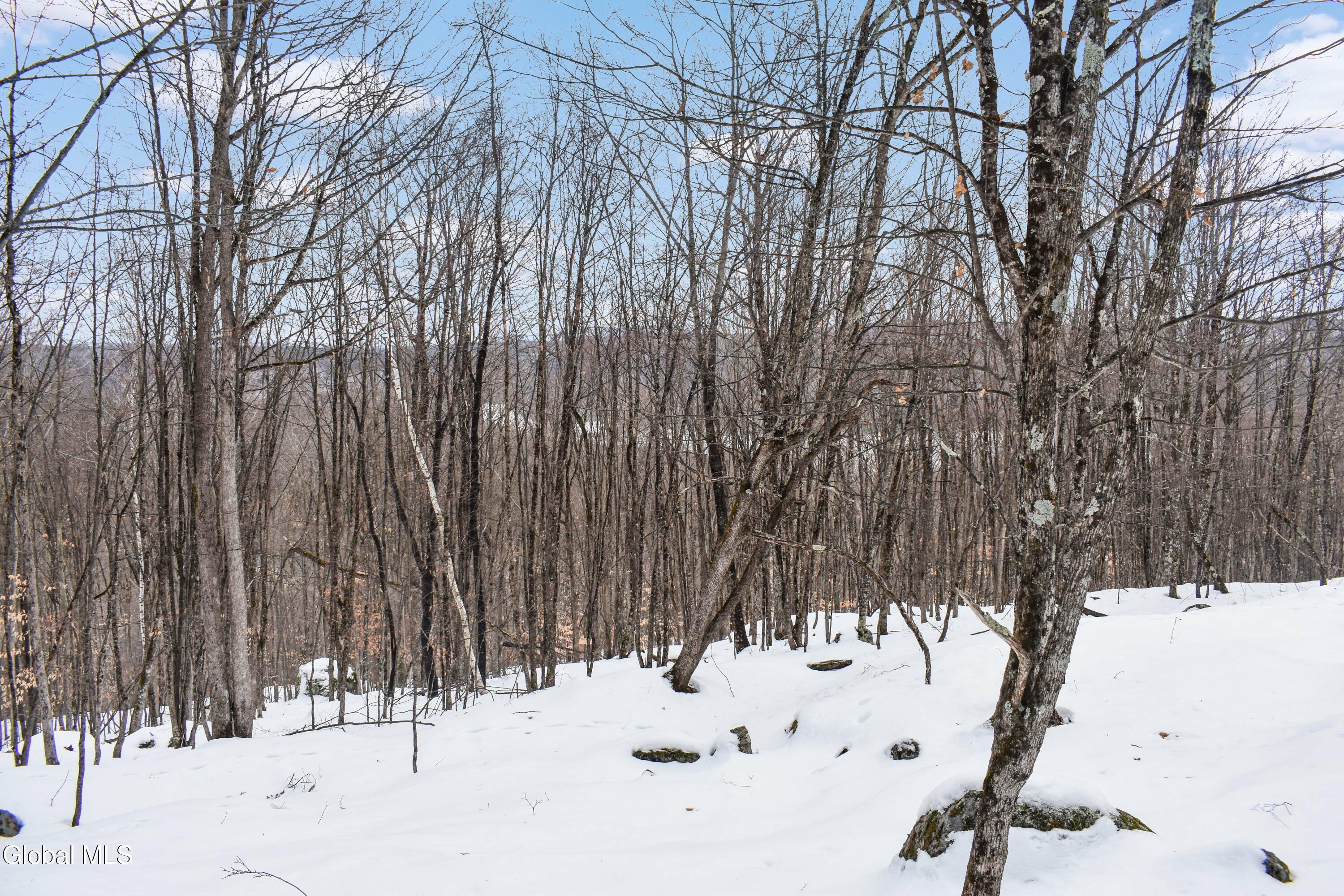 364 Pease Hill Road Brant Lake NY 12815