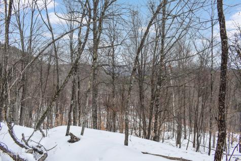 364 Pease Hill Road Brant Lake NY 12815