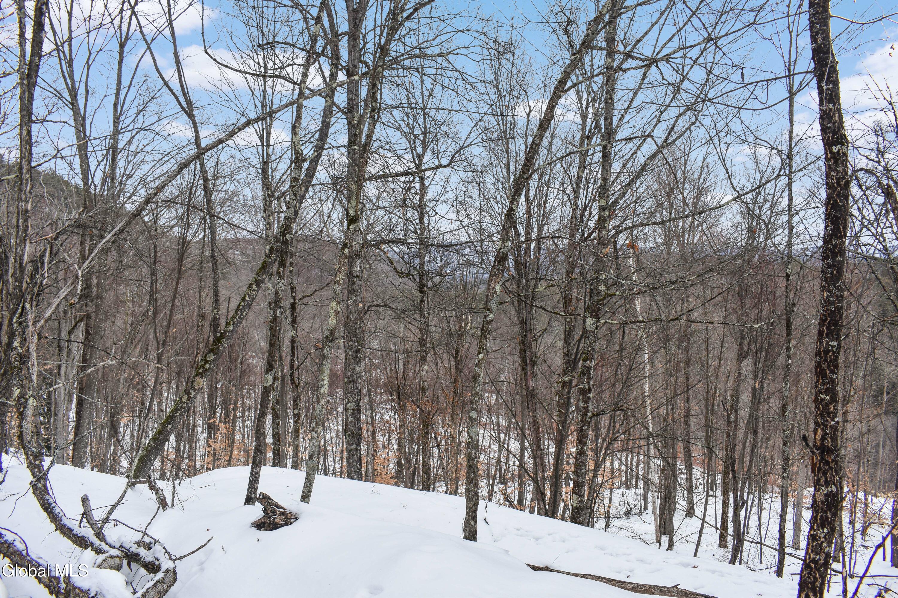 364 Pease Hill Road Brant Lake NY 12815