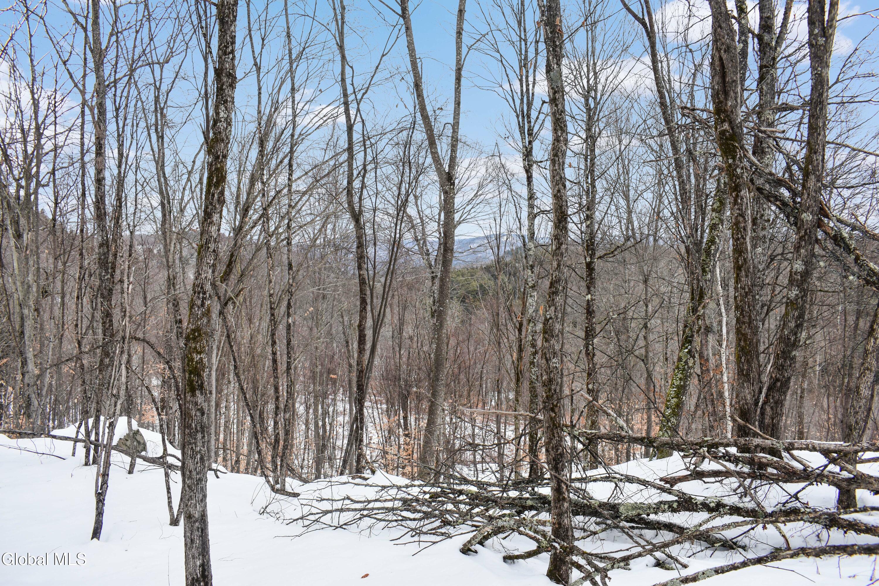 364 Pease Hill Road Brant Lake NY 12815