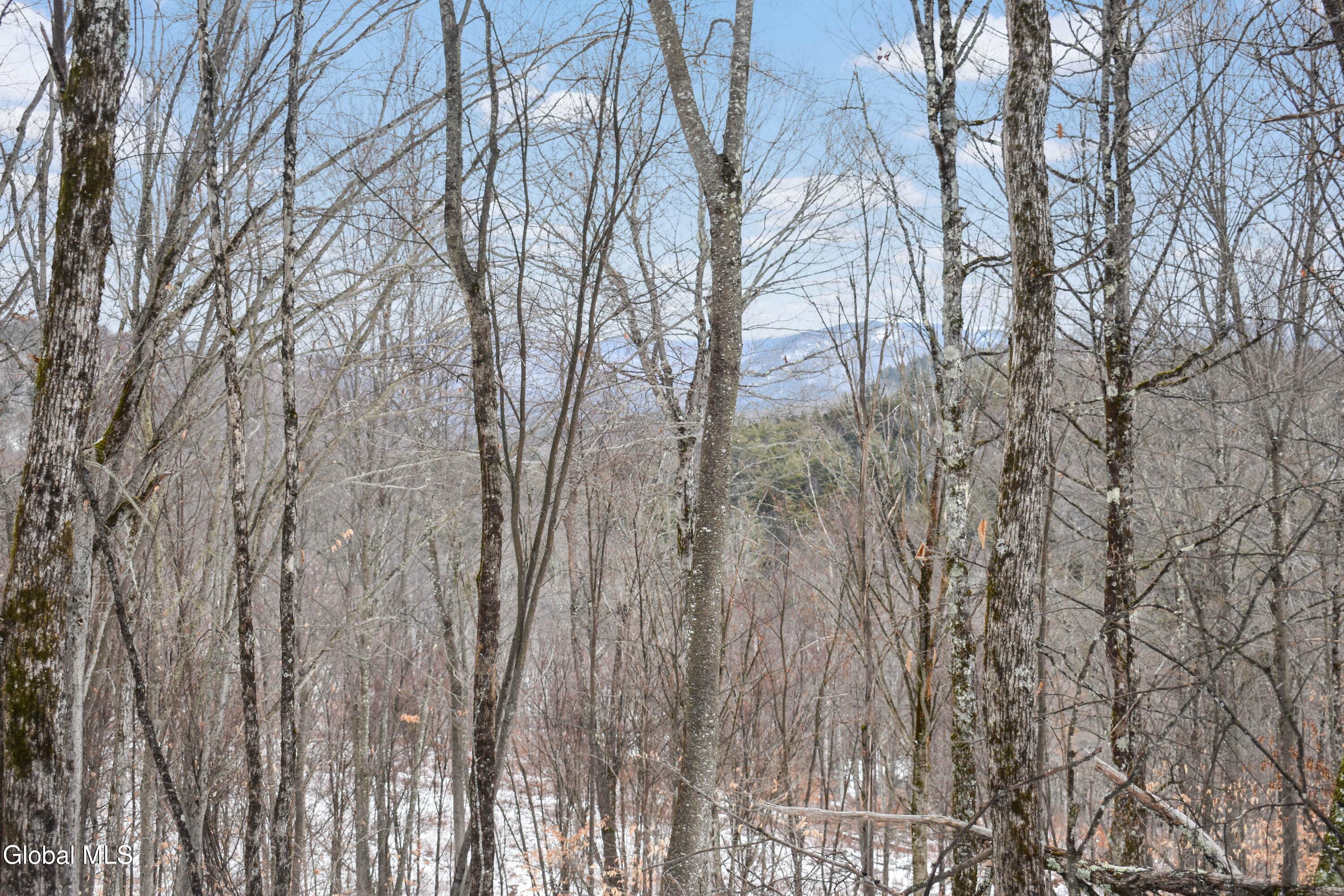 364 Pease Hill Road Brant Lake NY 12815