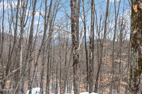 364 Pease Hill Road Brant Lake NY 12815