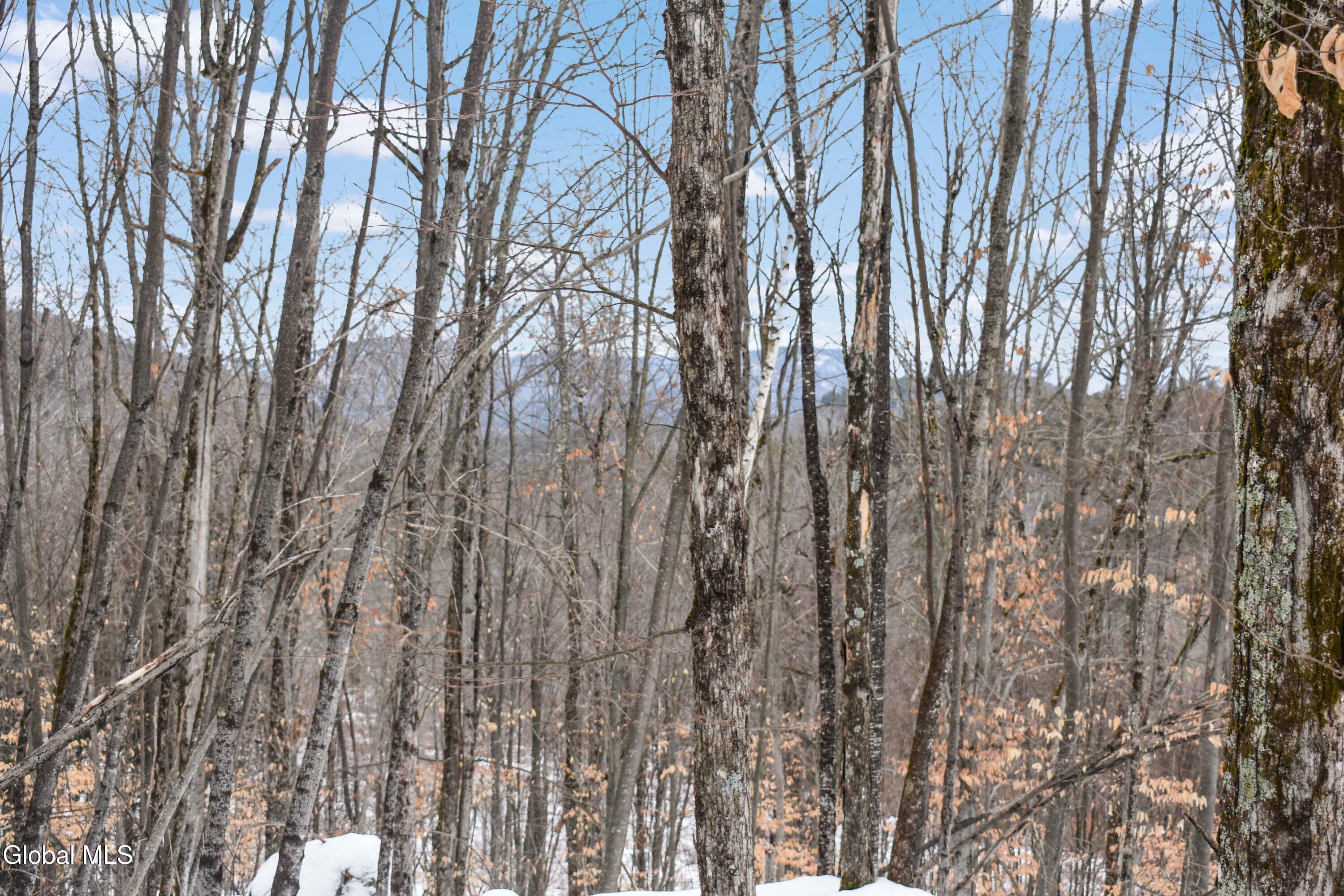 364 Pease Hill Road Brant Lake NY 12815