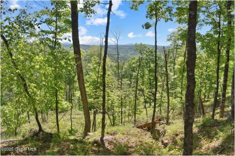 364 Pease Hill Road Brant Lake NY 12815