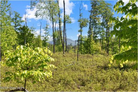 364 Pease Hill Road Brant Lake NY 12815
