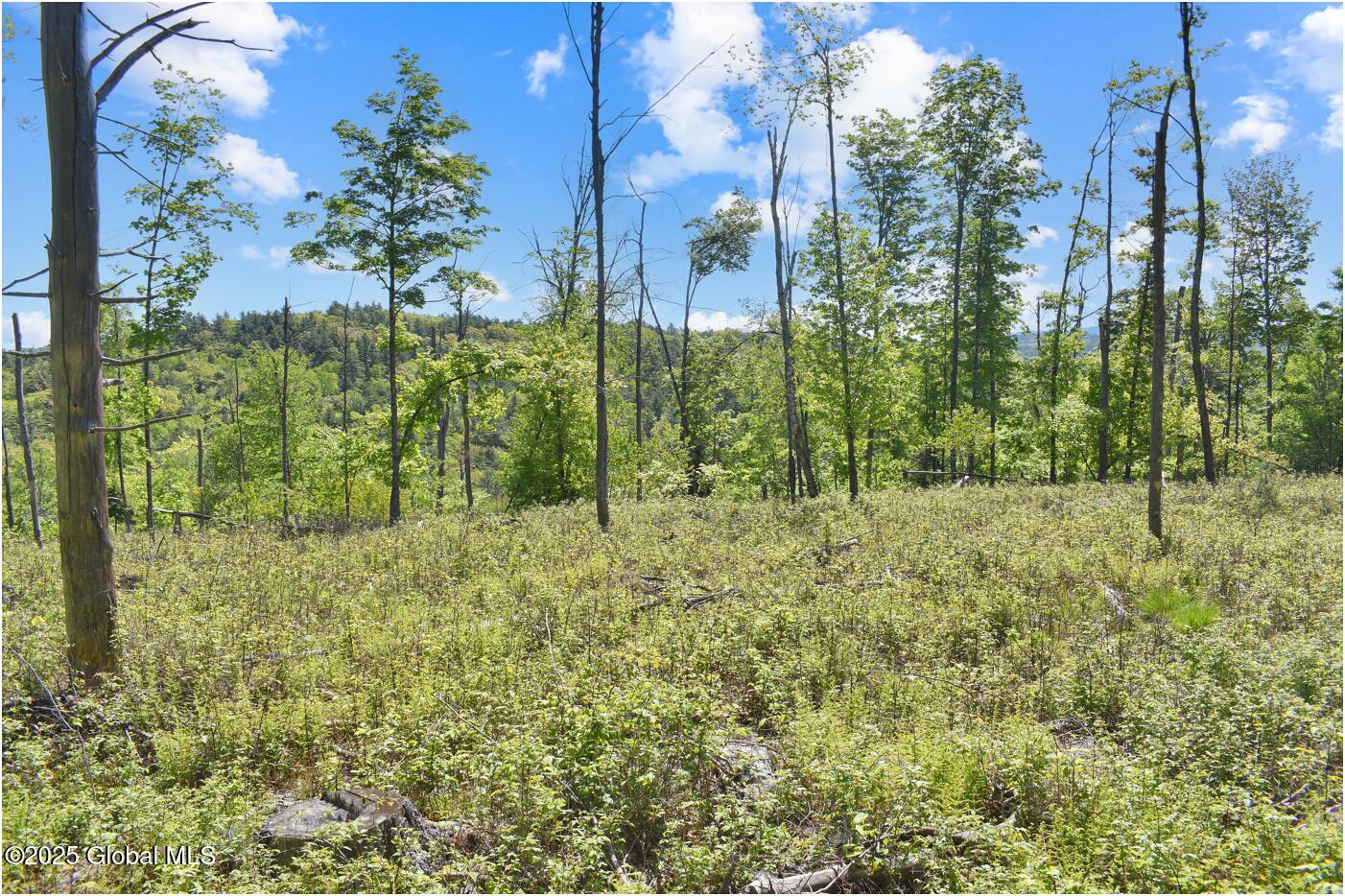 364 Pease Hill Road Brant Lake NY 12815