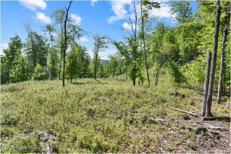 364 Pease Hill Road Brant Lake NY 12815
