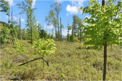 364 Pease Hill Road Brant Lake NY 12815