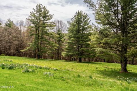 41 Chicory Lane Austerlitz NY 12017