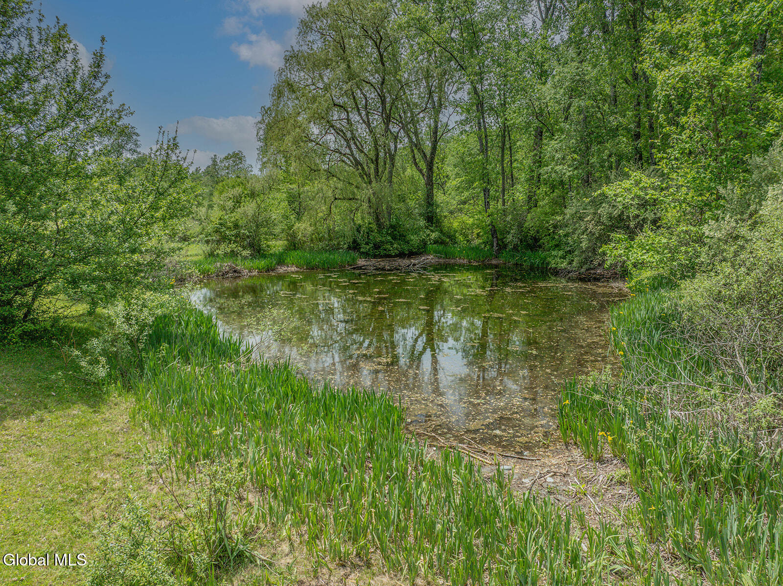 440 Camden Valley Road Shushan NY 12873