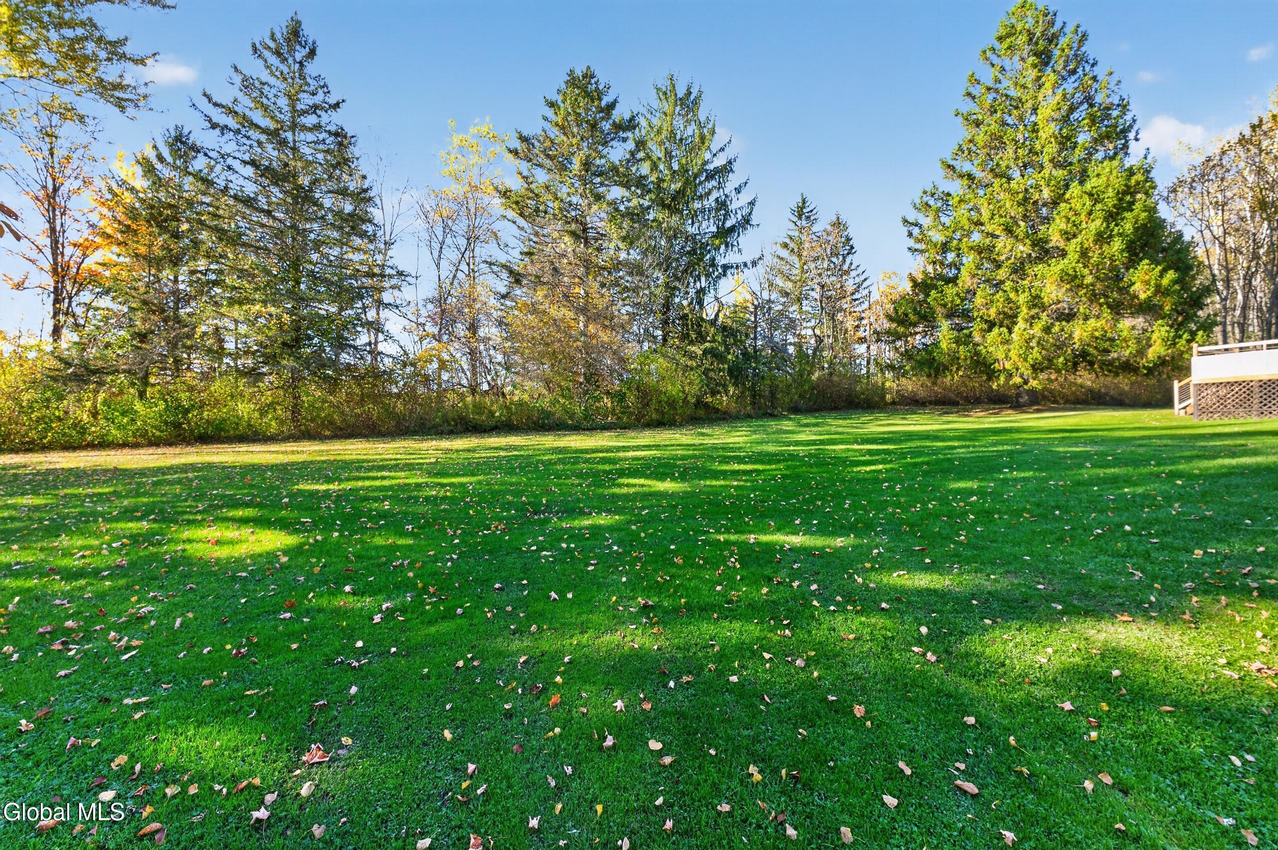 1008 Helderberg Trail East Berne NY 12059