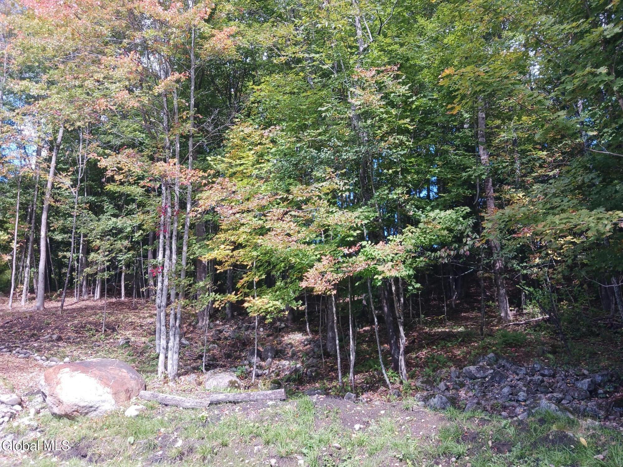 1322 Nys Route 28n Minerva NY 12851