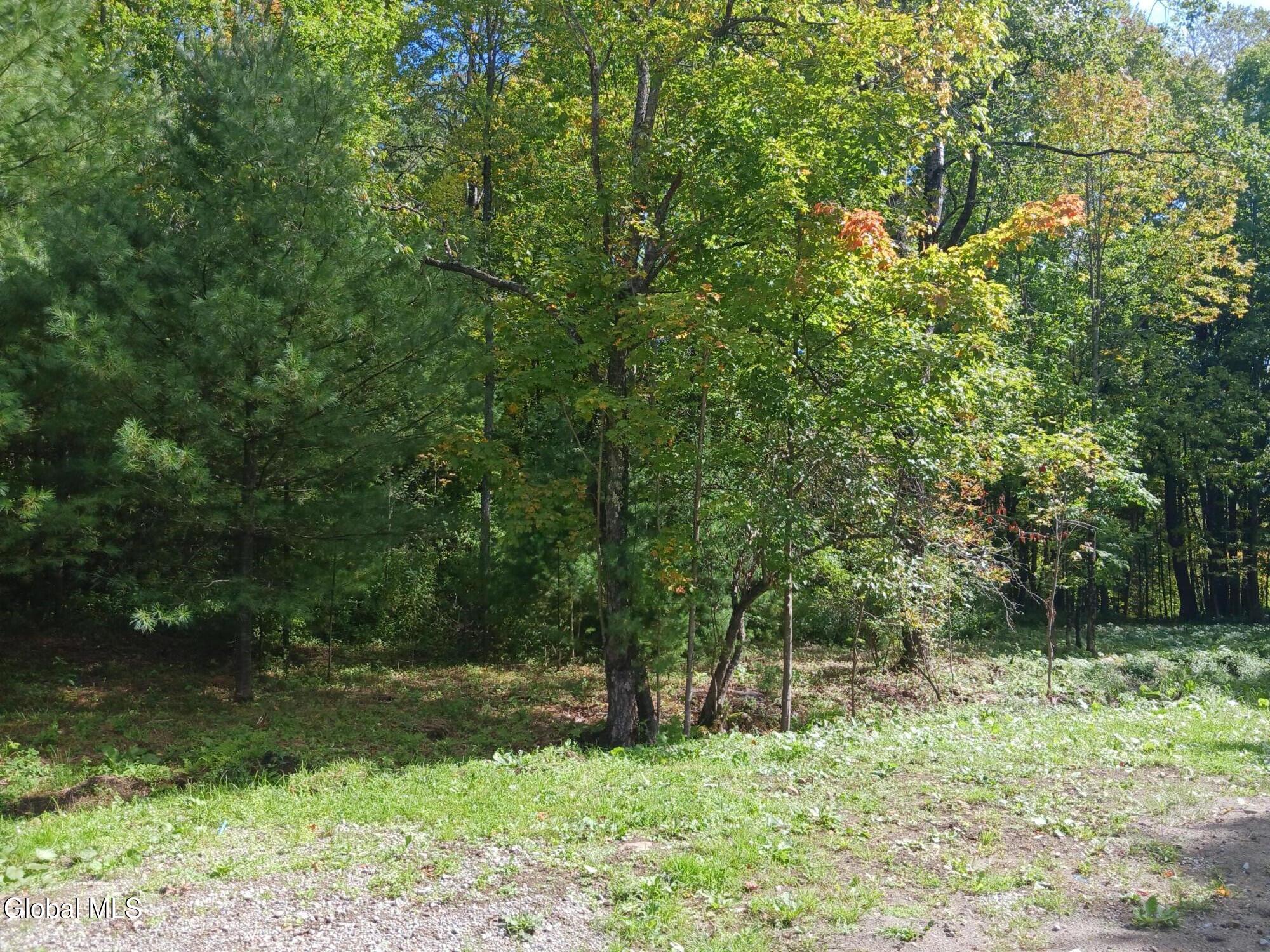 1322 Nys Route 28n Minerva NY 12851
