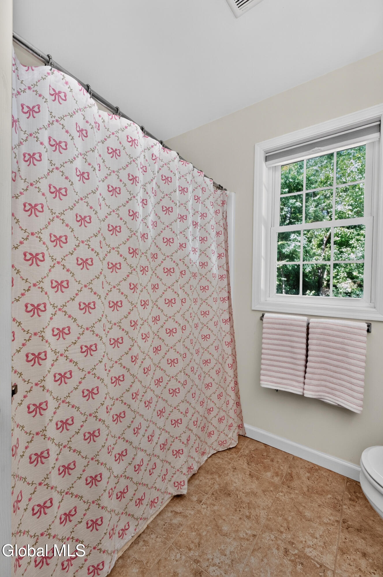 38 Kelly Lane Halfmoon NY 12065