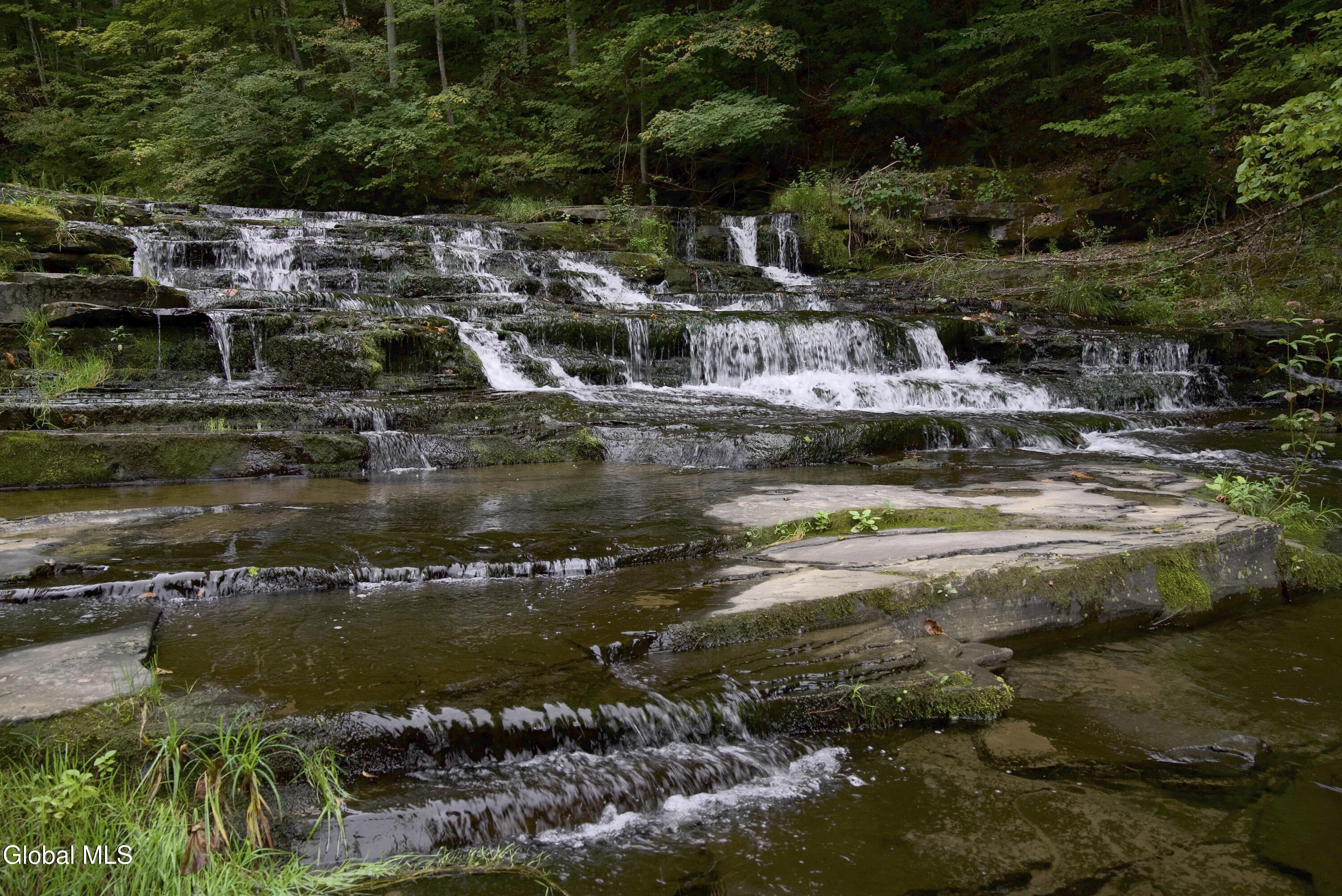 1499 Huntersland Road Middleburgh NY 12122