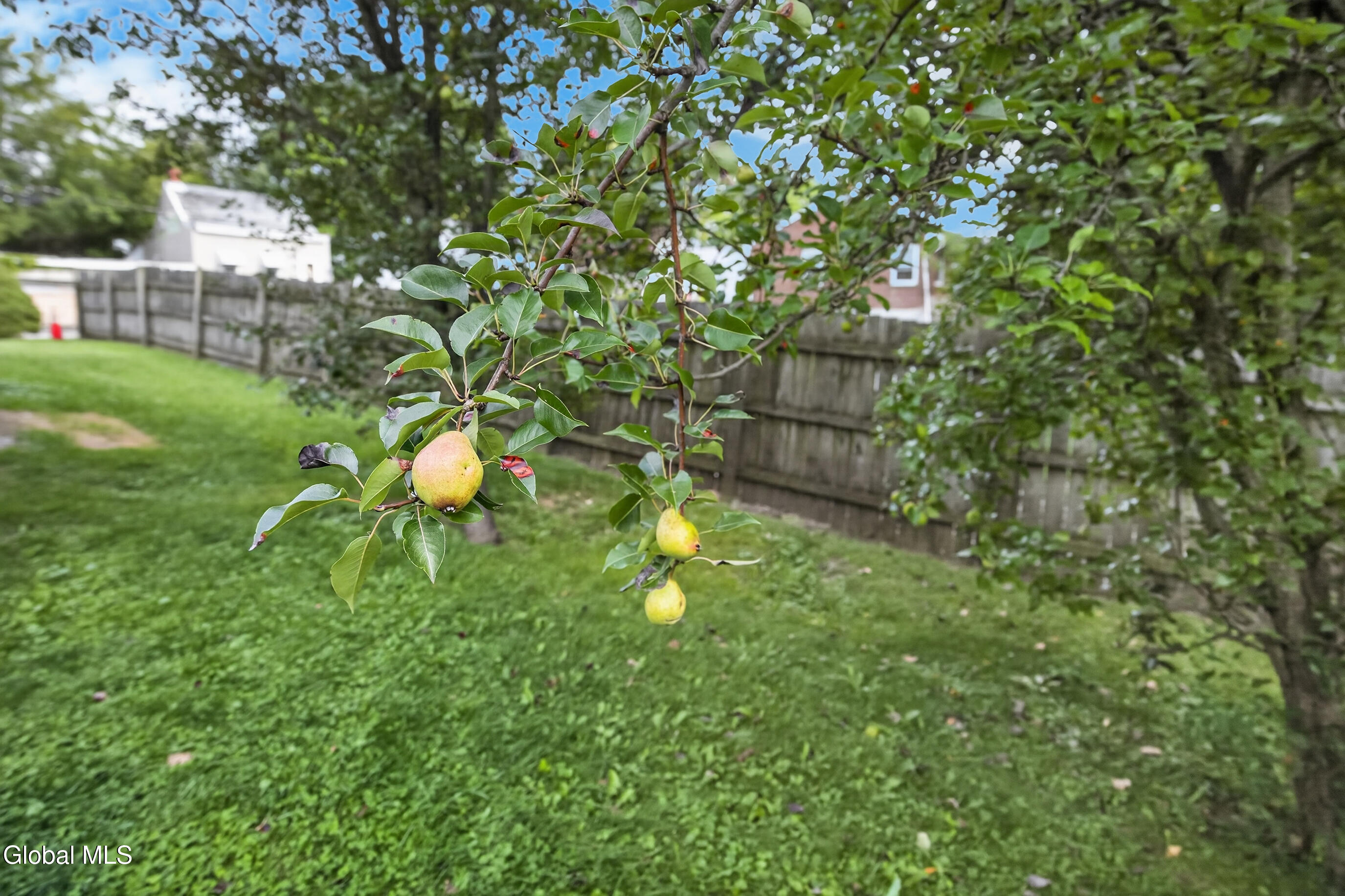 62 Slingerland Street Albany NY 12202