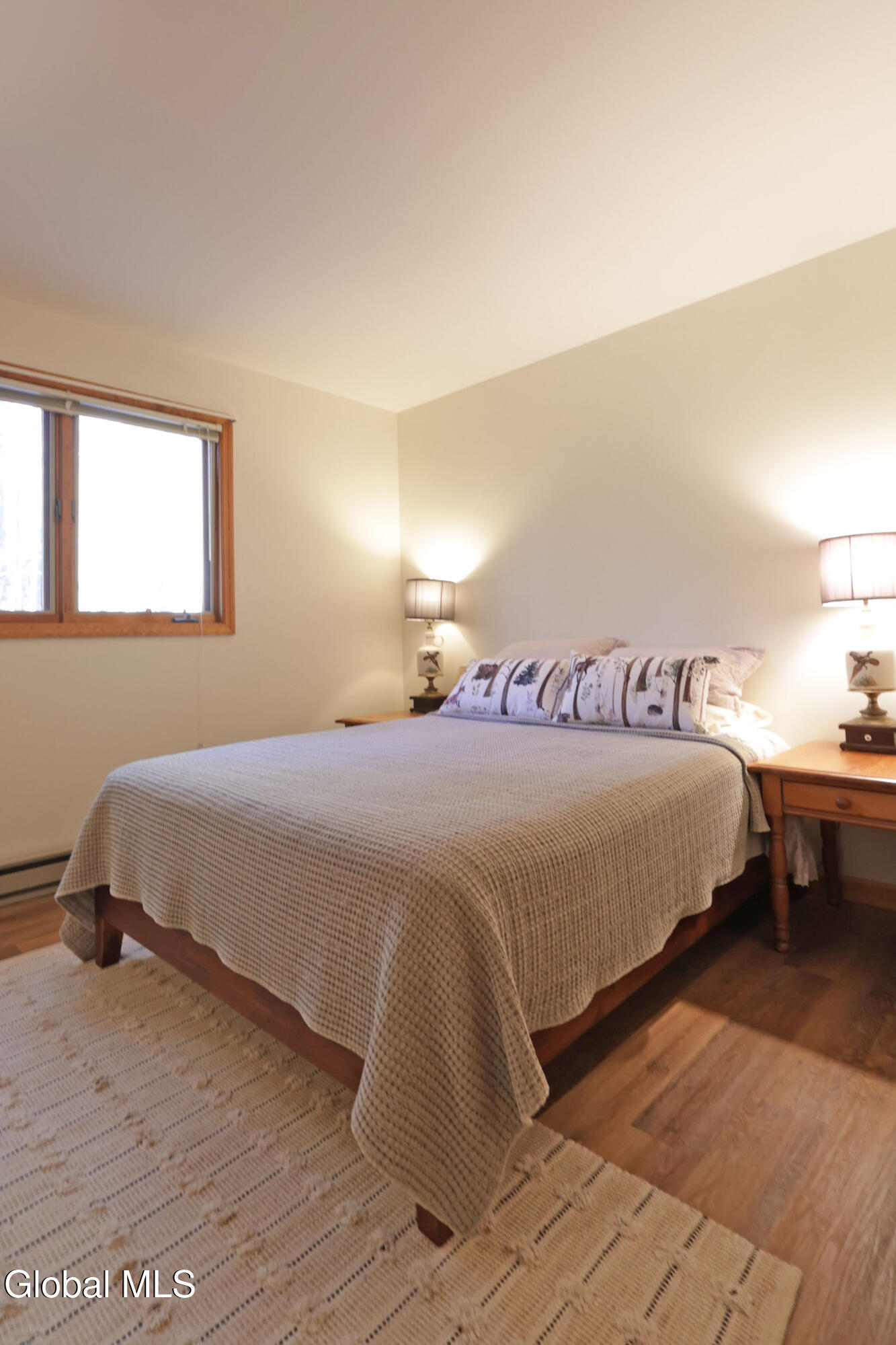 105 Pine Lane Adirondack NY 12808